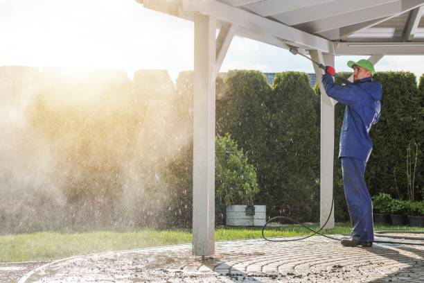 Best Driveway Cleaning and Restoration in Little Cypress, TX
